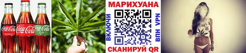 Купить закладки  Горно-Алтайск  Cannafood конопля 