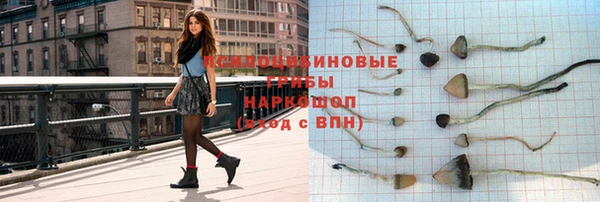 амф Нязепетровск